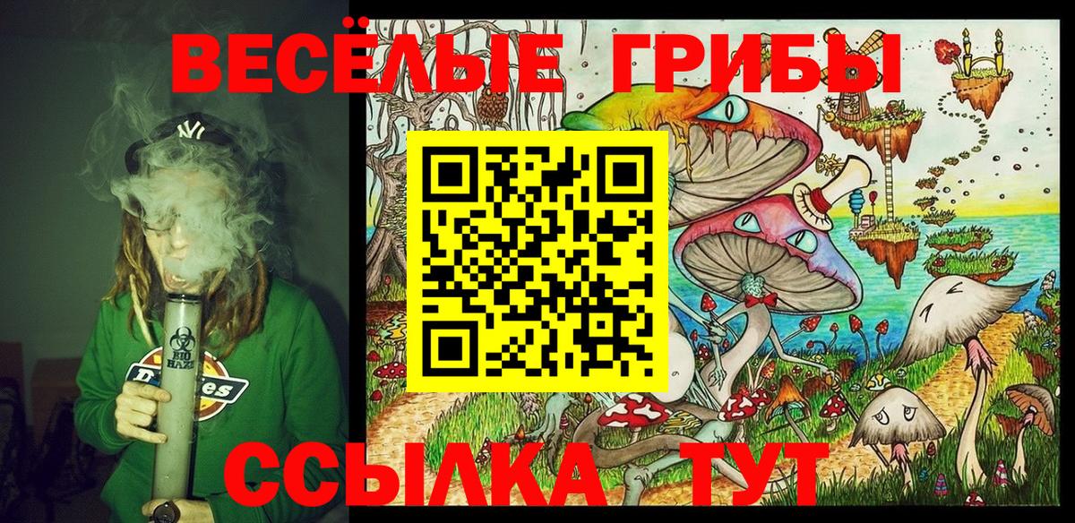 Галлюциногенные грибы Cubensis  Вход с VPN  Галлюциногенные грибы Psilocybine cubensis  Ливны 